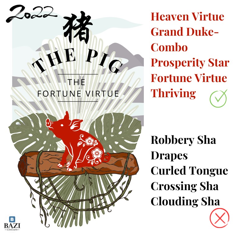 The Pig 2022 (12 Animals Zodiac)