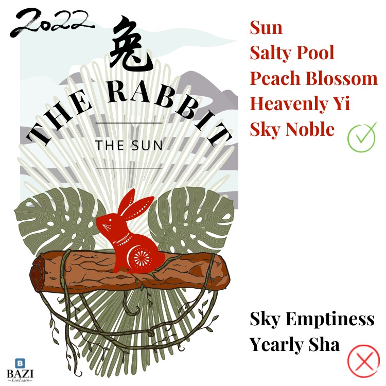 The Rabbit 2022 (12 Animals Zodiac)