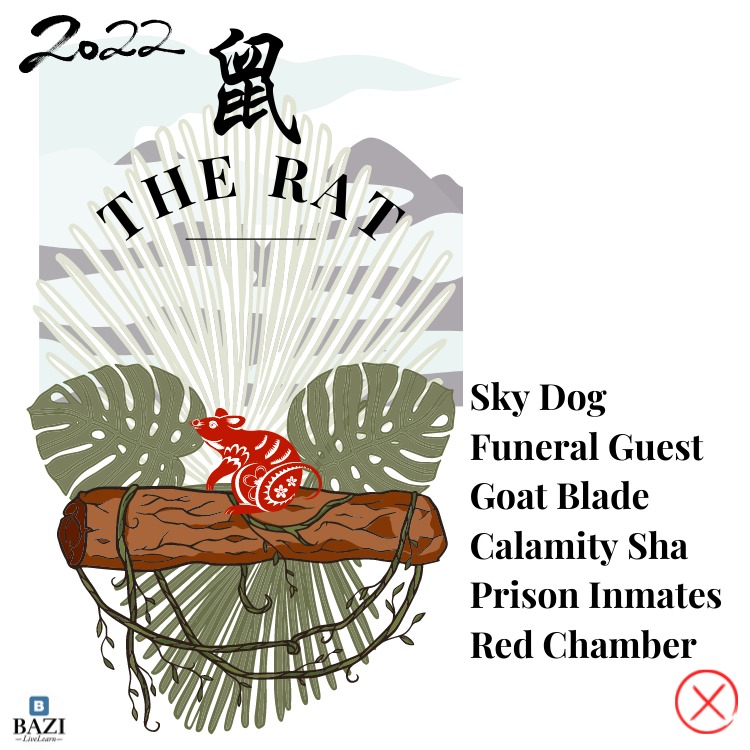 The Rat 2022 (12 Animals Zodiac)