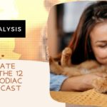 The Ultimate Guide to The 12 Animals Zodiac 2022 Forecast