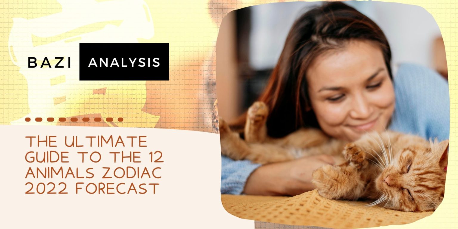 The Ultimate Guide to The 12 Animals Zodiac 2022 Forecast