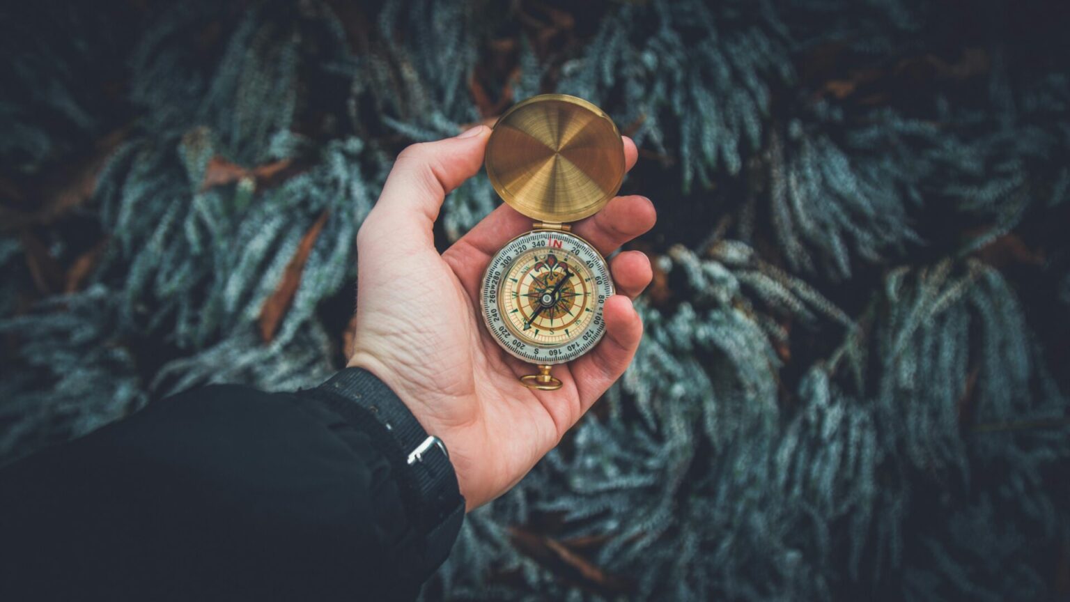 Navigate Life With Chinese Metaphysics